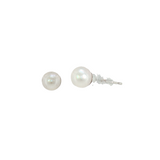 14k White Gold 5mm Pearls Earrings