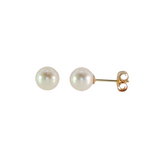 14k Yellow Gold 6mm Pearl Earrings