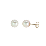 14k Yellow Gold 8mm Stud Pearls Earrings