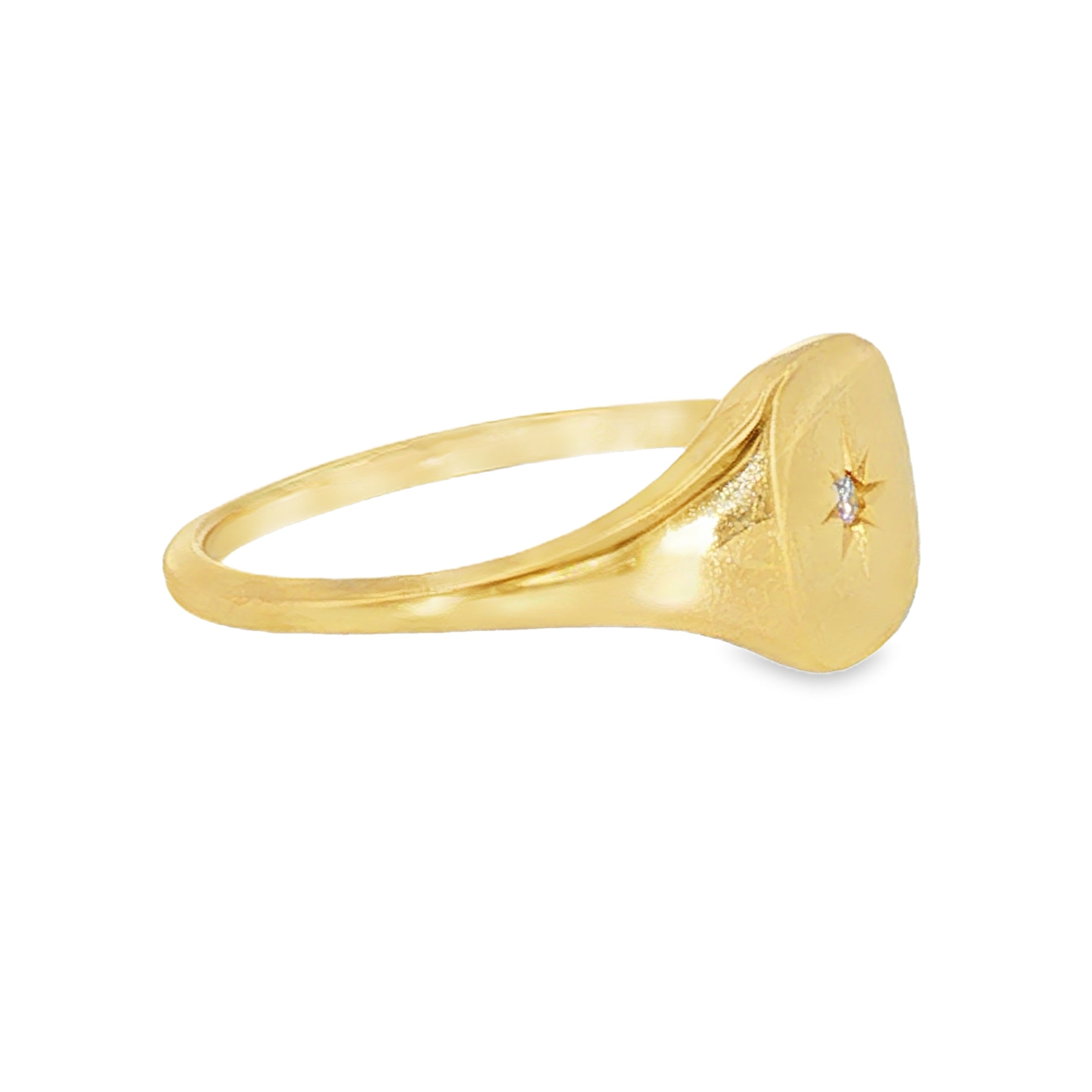 14k Yellow Gold 0.02 ctw Signet Women's Diamond Ring