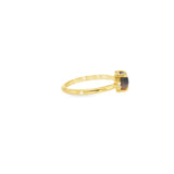 14k Yellow Gold 3 Stone Montana Moss Agate Women's Ring