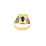 10k Yellow Gold Modern Montana Agate Ring