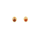14k Yellow Gold Stud Montana Agate Earrings
