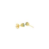 14k Yellow Gold 0.86 ctw Stud Montana Sapphire Earrings