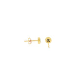 14k Yellow Gold Opal Earrings