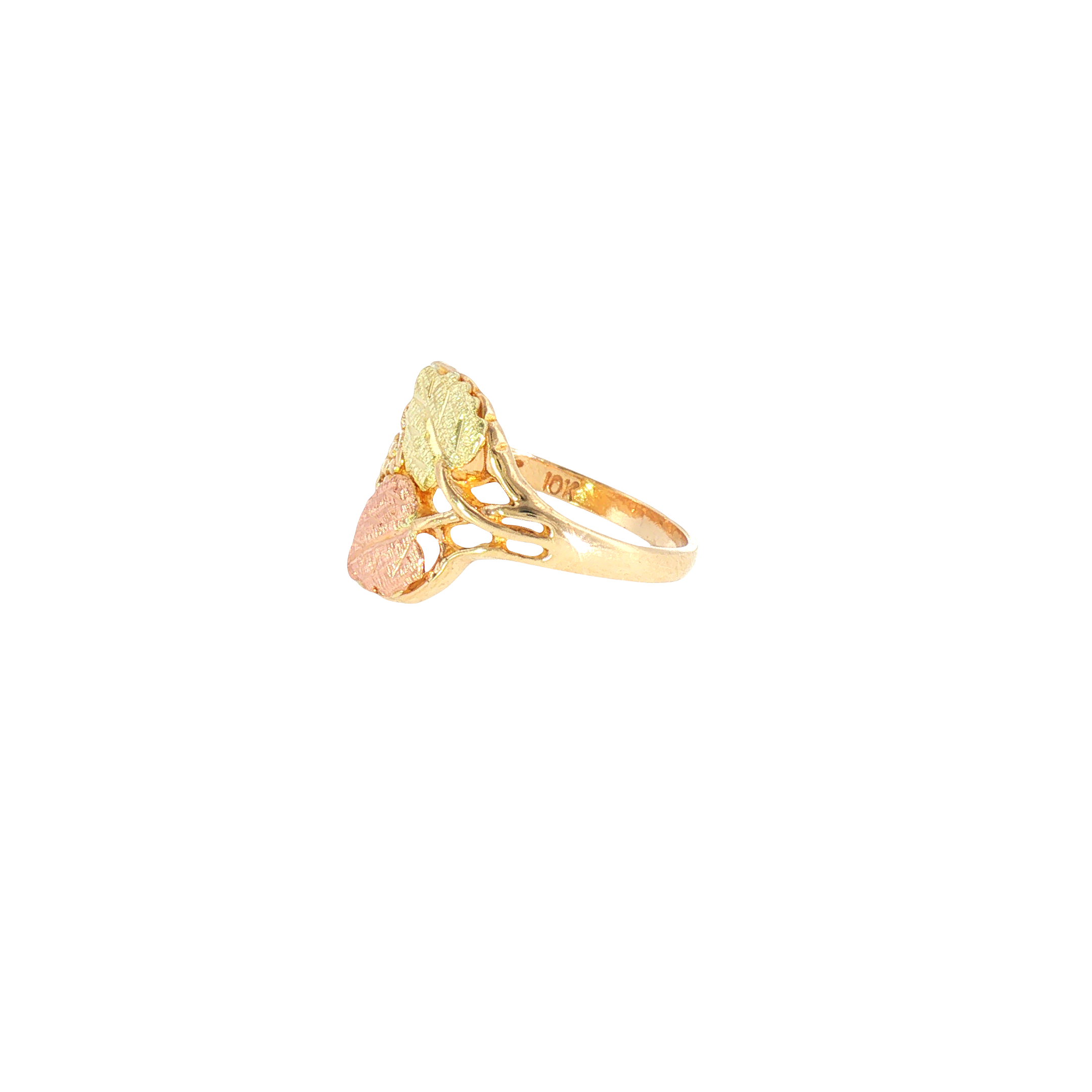Slide image