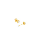 10k Yellow Gold 0.07 ctw Diamond Nature Inspired Earrings